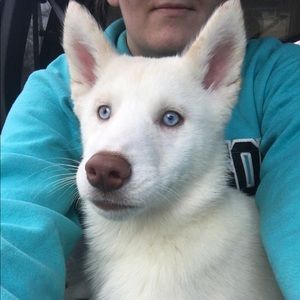 Meet your Posher, Megan